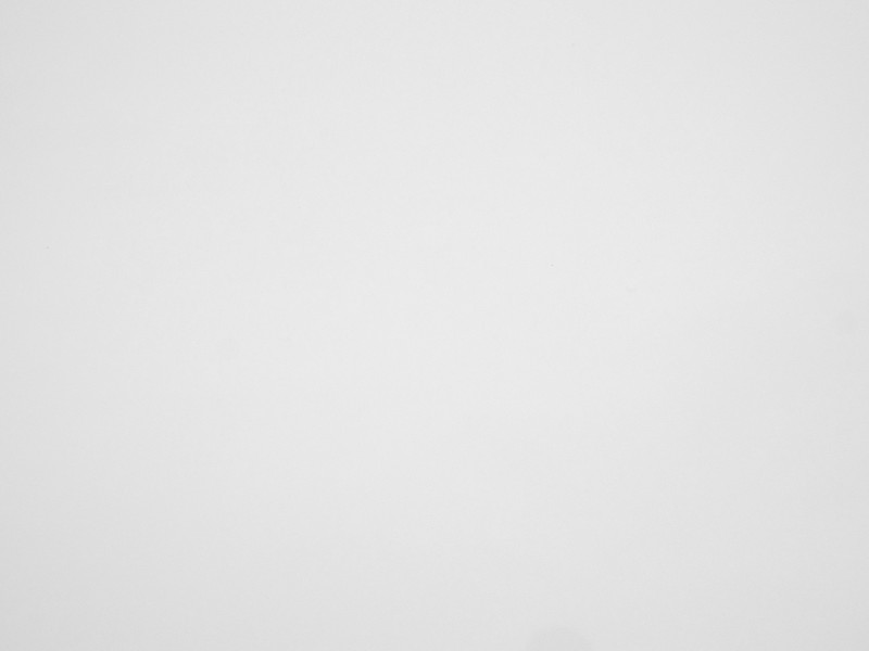 Ultra White P1001