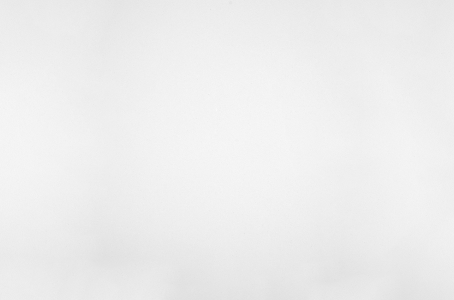 Ultra White Pro S100